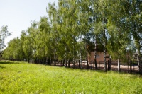 Аллея
